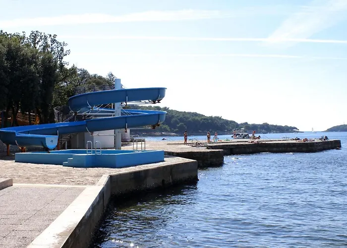 With Wifi Vrsar, Porec - 17473 Apartment *