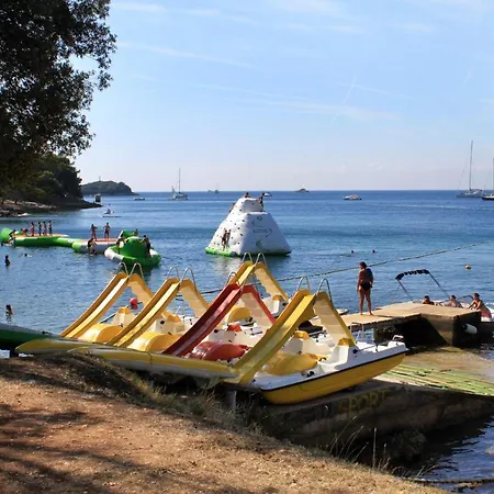 With Wifi Vrsar, Porec - 17473 Apartmán Vrsar